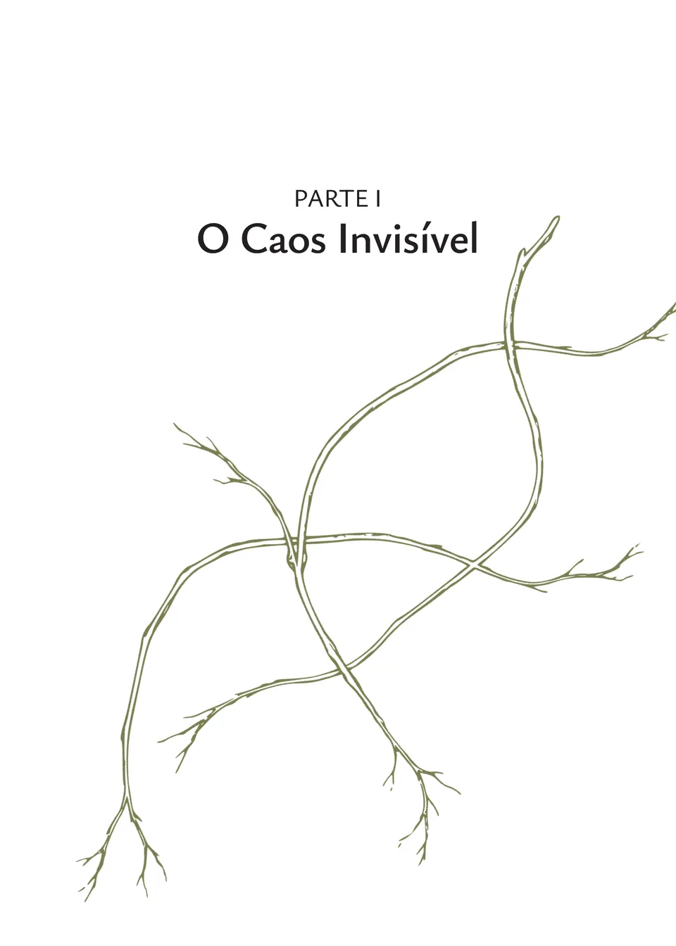 Página de abertura da Parte I — O Caos Invisível