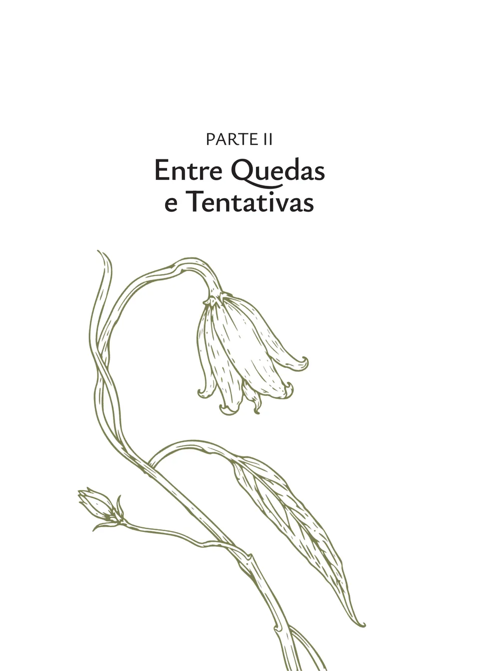 Página de abertura da Parte II — Entre Quedas e Tentativas